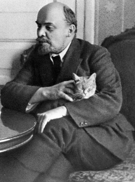 lenin gatta