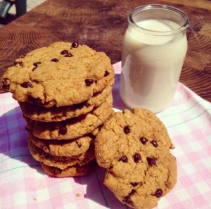 chocolate chips cookies