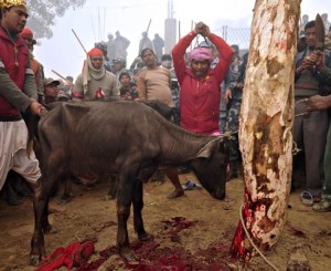 nepal