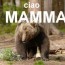 Tutte le immagini di Daniza