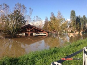 parco canile Marianna Baroli Twitter