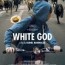 26/4/15 – Emilio Maggio recensisce “L’ultimo lupo” e “White God”