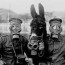 PODCAST / Emilio Maggio recensisce “Animali nella Grande guerra” di Folco Quilici