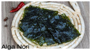 alga nori