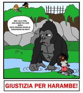 Harambe sab 040616