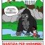 4/6/16 – Giustizia per Harambe!