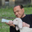 15/4/17 – Berlusconi fa arrabbiare Assocarni; l’etologia filosofica di Marchesini; la fiaba del lupo vegetariano