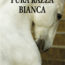 Libri / “Pura razza bianca” di Frank Westerman