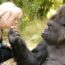 30/6/18 – Ritmi da gorilla, colonna sonora alla memoria di Koko