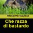 “Che razza di bastardo”, intervista con Massimo Raviola