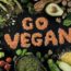 3/11/18 – Essere vegan oggi, che senso ha?; caccia, essere impallinati di domenica; stop al polo con gli elefanti