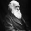 17/2/23 – Il senso del Darwin Day; l’ora del veg fast food; armi nelle scuole?