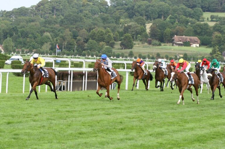 9/10/26 – L’oca non è un gioco; l’unico incidente è l’ippica; animali da compagnia oltre la vita